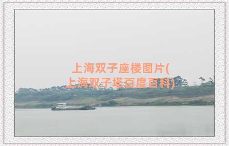 上海双子座楼图片(上海双子塔百度百科)