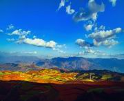 东川明天天气